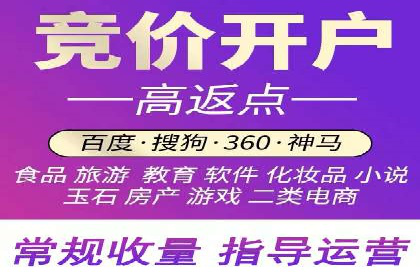 专业竞价SEM托管成功案例解析